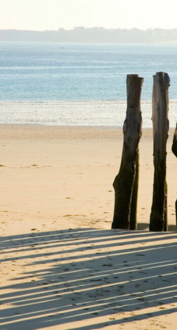 Traditional wooden stakes at Saint-Malo (Brittany, France) Traditional wooden stakes at Saint-Malo (Brittany, France)